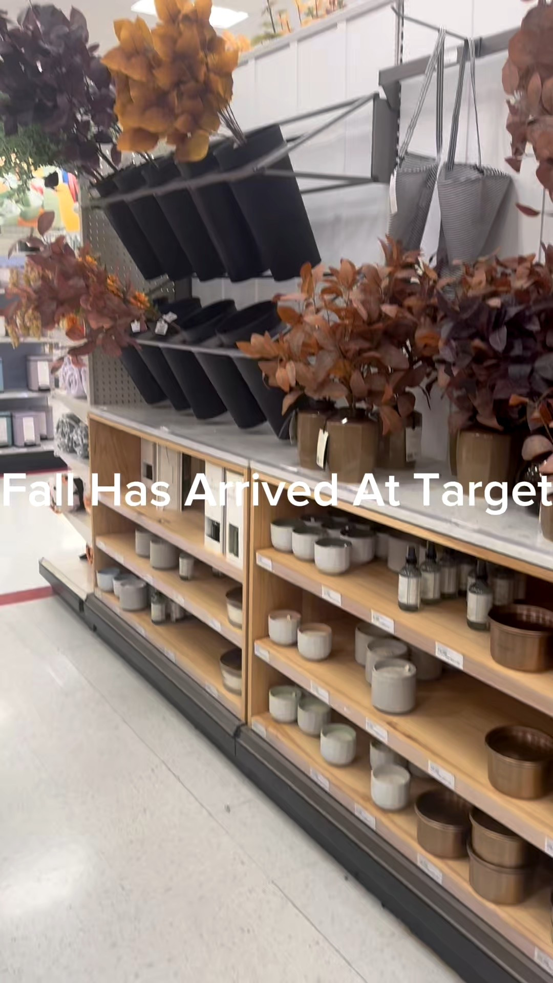 It officially is Fall @target. I’m loving the spooky and stylish pieces, new Studio McGee & Hearth & Hand by Magnolia pieces. I even found a few for myself! Yay! 

#LTKHome #LTKFindsUnder100 #LTKSeasonal