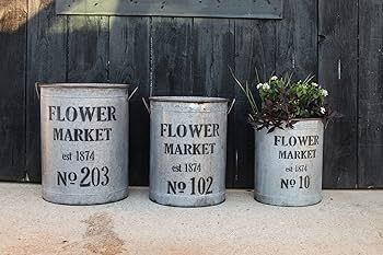 Set of 3 Flower Market Buckets | Amazon (US)