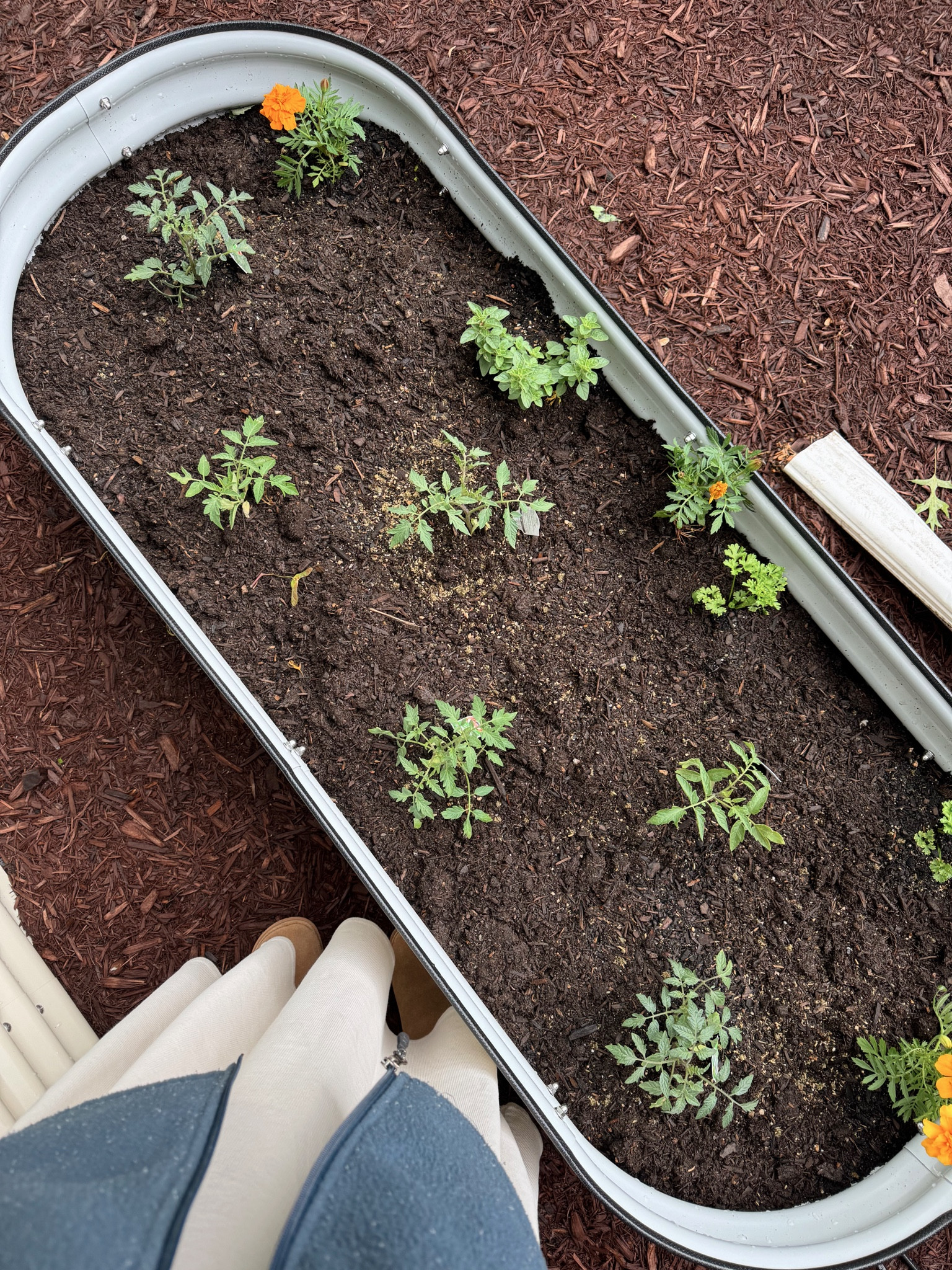 Vego Garden Beds!!