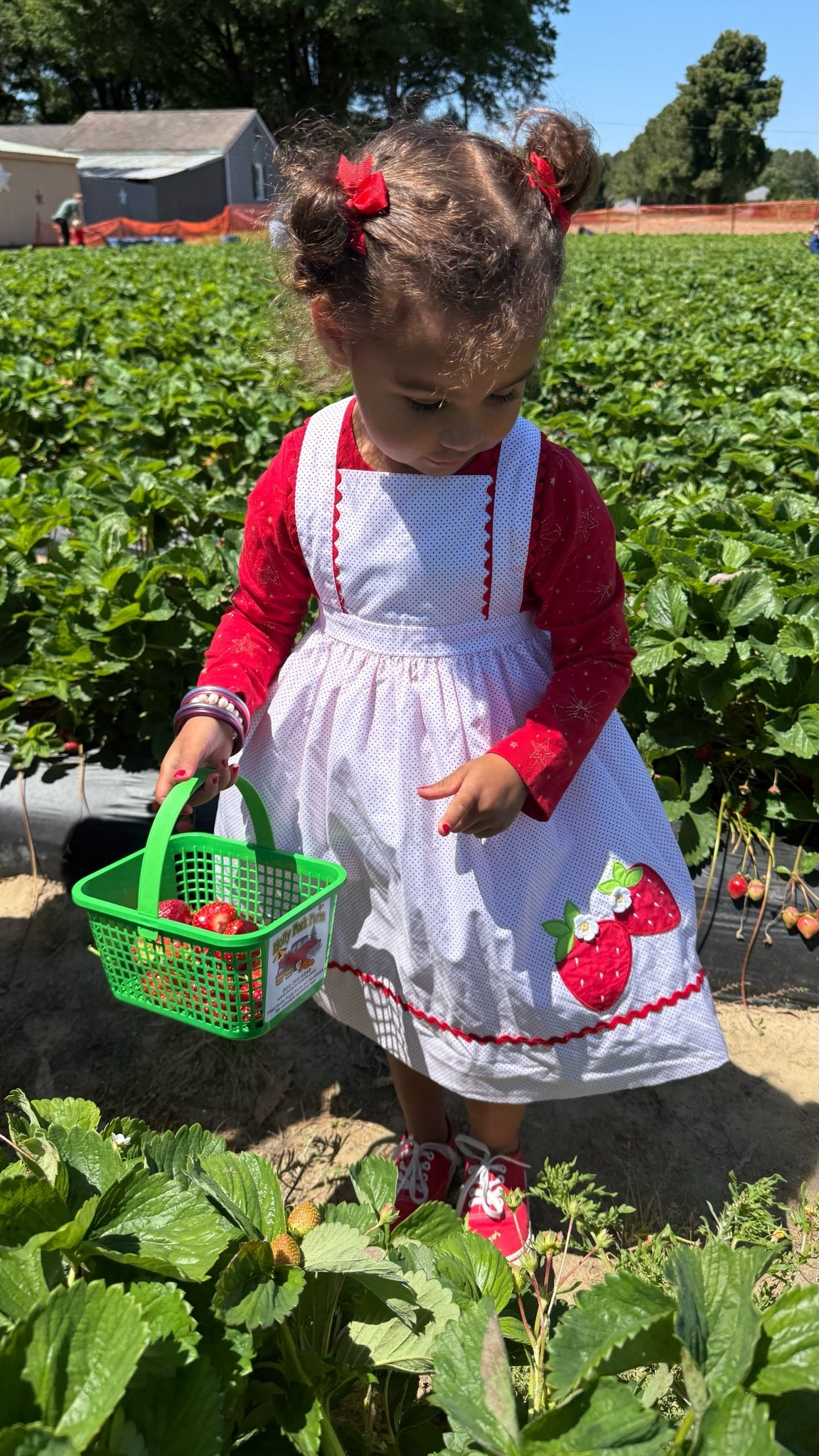Toddler strawberry dress / strawberry birthday dress for kids / strawberry /

#LTKootd #LTKKids #LTKBaby
