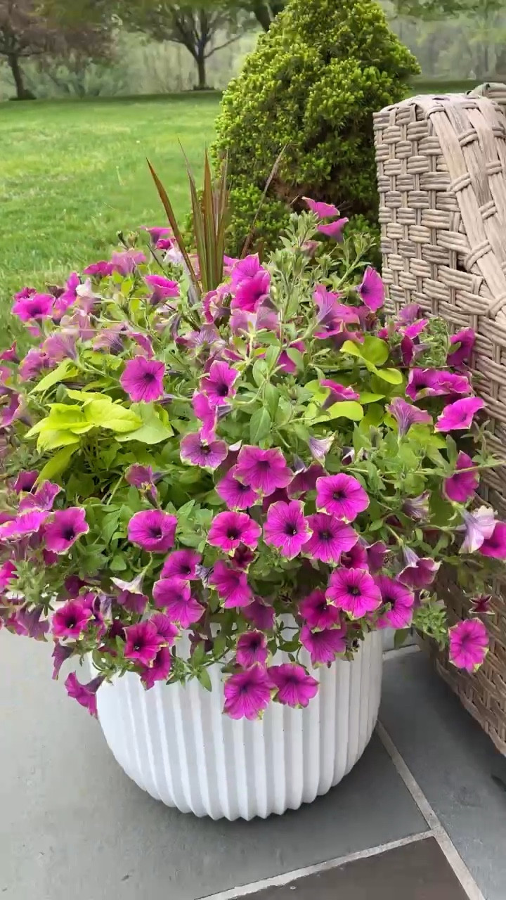 Patio decor, River Oaks wicker conversion set, patio loveseat, patio swivel chair, coffee table, side table, planter, patio umbrella, outdoor throw pillow 

#LTKFind #LTKhome #LTKstyletip