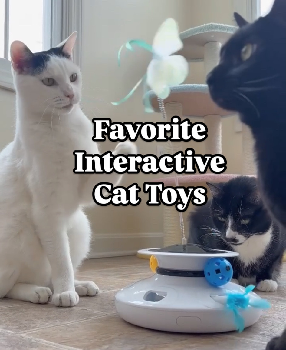 Our big list of favorite interactive cat toys, tested and loved by our 4 cats! 🐈‍⬛ 🐾 
