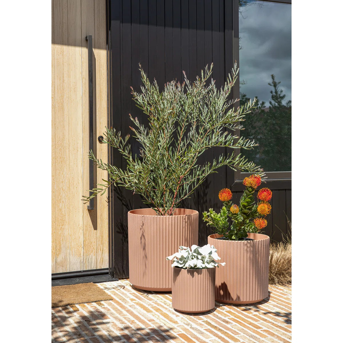 Demi Series Round Planter Set of 3 | Wayfair North America