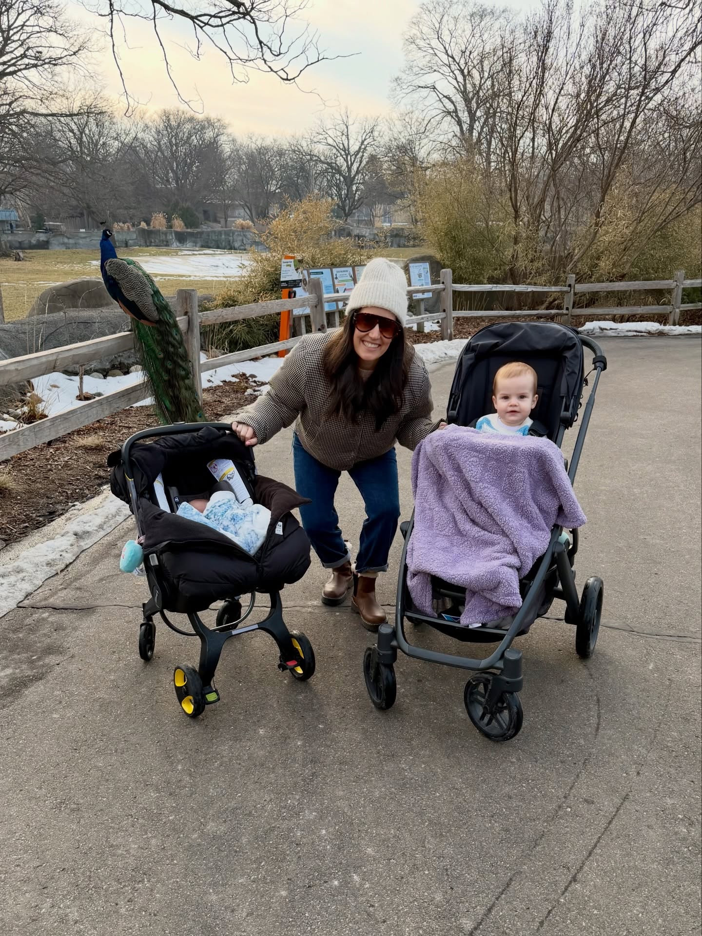 addie’s first trip to the zoo! 🐒🐯🦍