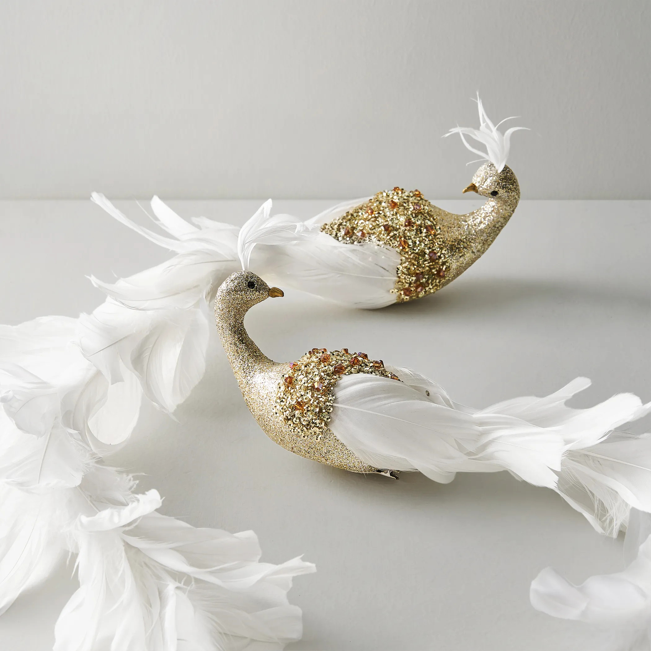 Feathered Peacock Clip - Set of 2 | Z Gallerie