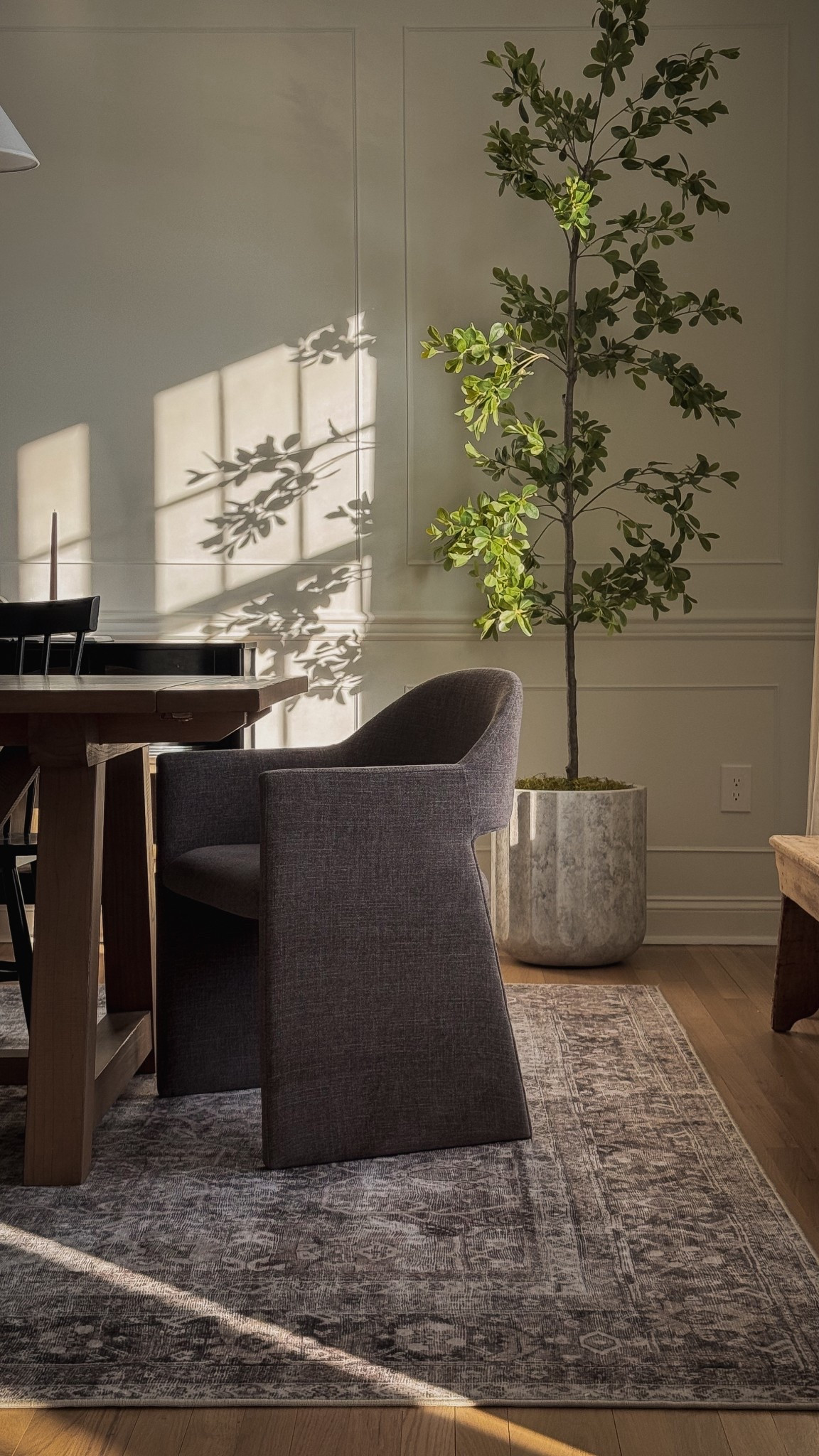 Sneak peak at our new dining chairs! Looks similar to the CB2 Foley Dining chairs but at half the price! These are a much better option as we have two boys and host kids over here often.  

Dining chairs, dining room decor, dining table, dining room furniture, dining room rug, olive tree, planter pot

#LTKHome