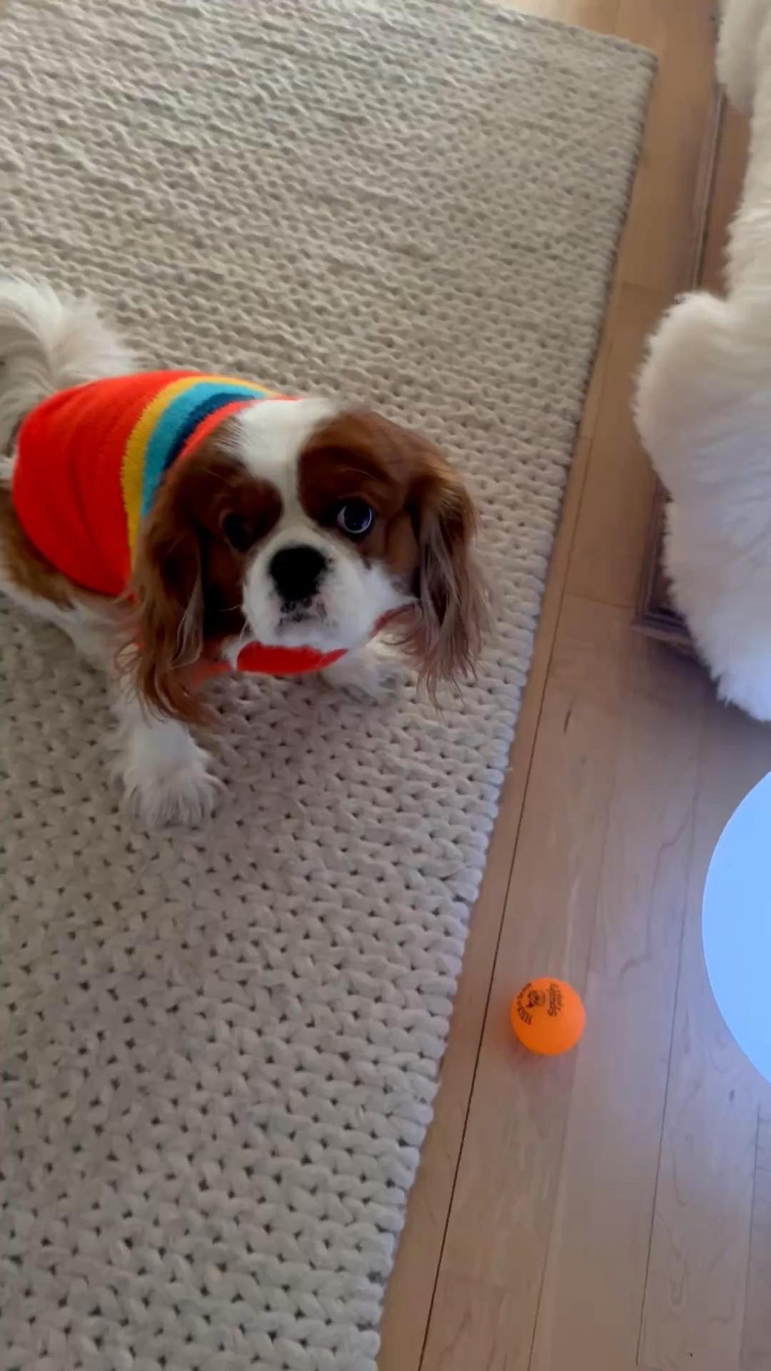 Oliver in his Sunday Best! 

#LTKgrwm #LTKmomlife #LTKdayinmylife