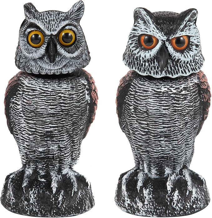 Hedoc 2 Pack Fake Owl Decoys to Scare Birds Away, Rotating Head Bird Deterrents, Nature Enemy Sca... | Amazon (US)