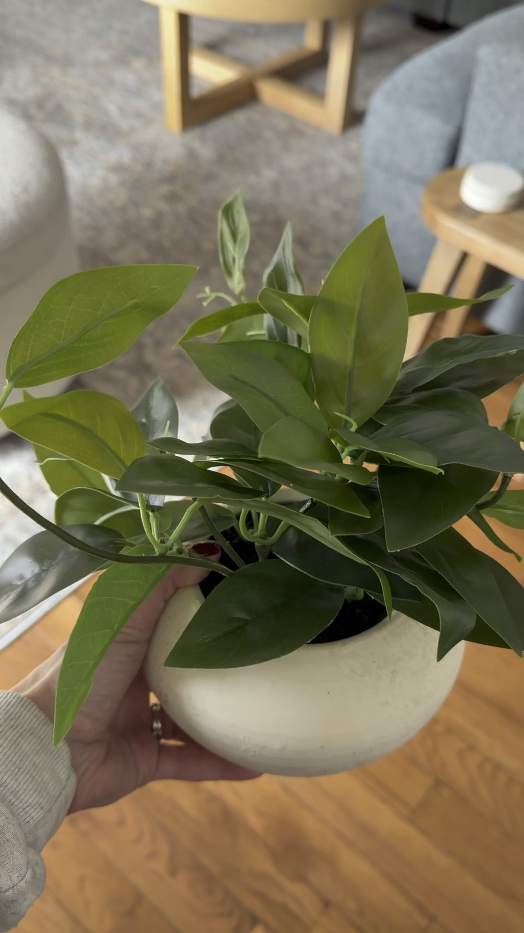 Grabbed a few new finds from the spring Hearth & Hand collection at Target. Since finishing out laundry space I’ve been playing around with styling and was looking for something low profile. This is perfect and very realistic! Love that the pot is pretty, too!

#LTKFindsUnder50 #LTKHome