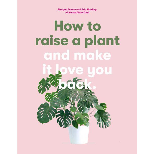 How to Raise a Plant: And Make It Love You Back (Paperback) | Walmart (US)