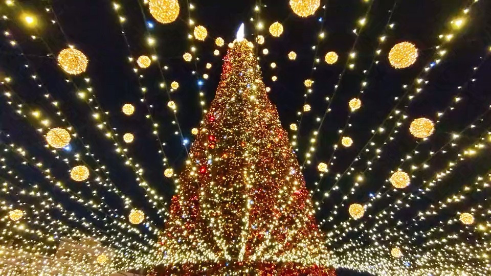 Ready for Christmas? Shop decor linked below. 

#thsnksgiving #christmas #holiday #decor #christmastree #december #santa #beautyblogger #pretty #upswing #glowonnow #glowmeansglow #commentsbyfans #commentsbyfans❤️

#LTKhome #LTKHoliday #LTKGiftGuide