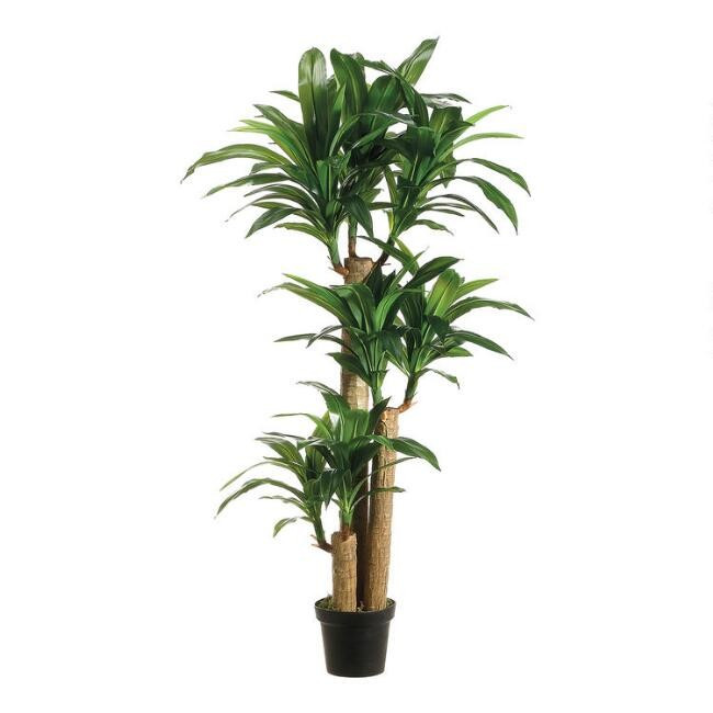 5 Foot Faux Dracaena Tree | World Market