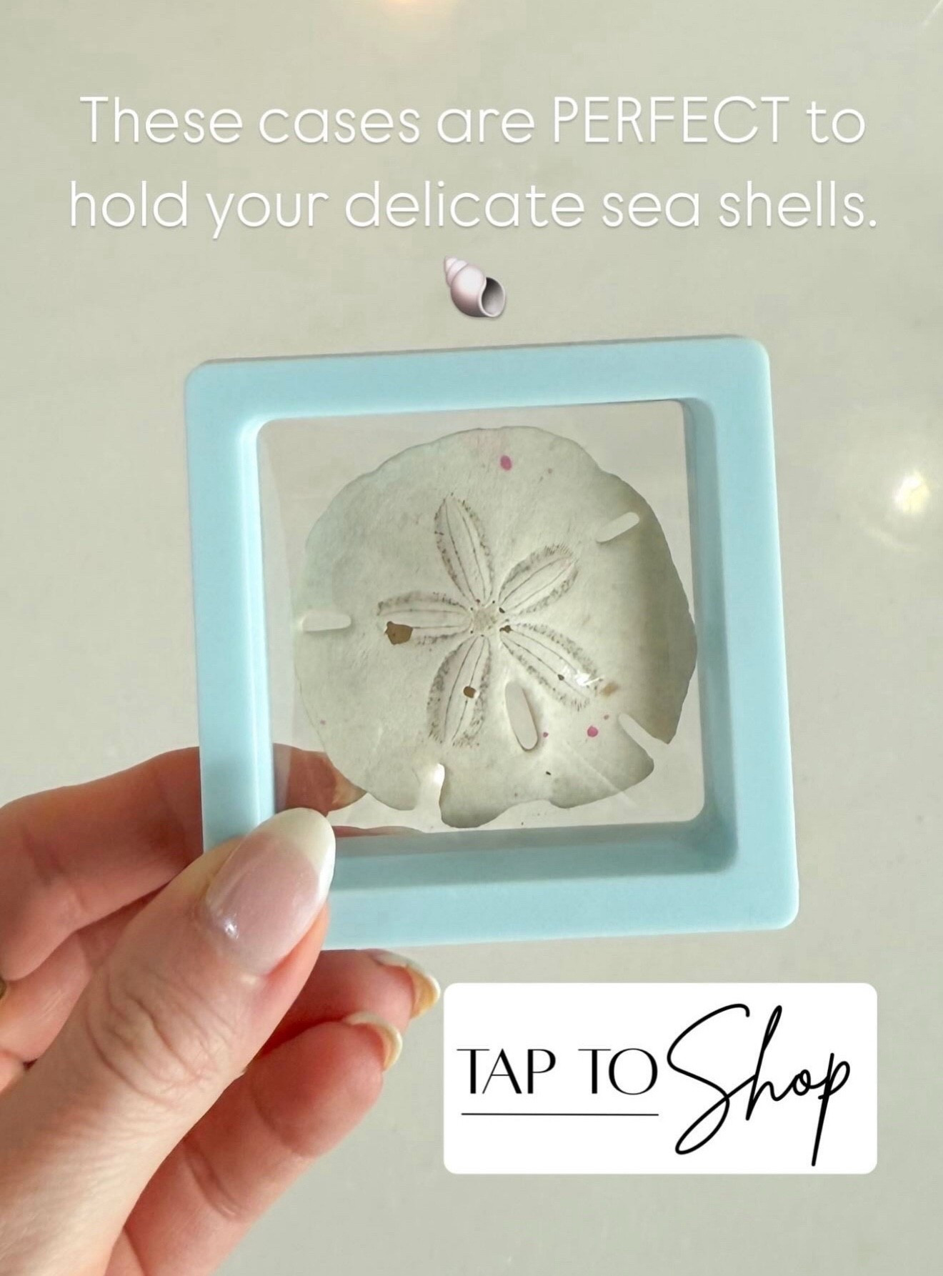 Seashell display case // Amazon finds












Vacation must have 
Keepsake box
Sand dollar
Coastal home
Coastal decor 
Summer must have 


#LTKHome #LTKTravel #LTKSeasonal