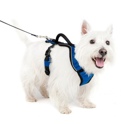 PetSafe EasySport Adjustable Dog Harness - S - Blue | Target