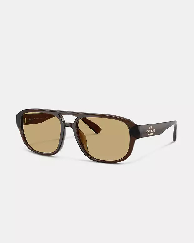 Pilot Sunglasses | Coach Outlet US