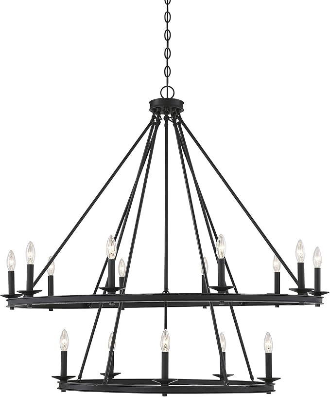 Savoy House 1-312-15-89 Middleton 15-Light Matte Black Modern Farmhouse Industrial Circular Ring ... | Amazon (US)