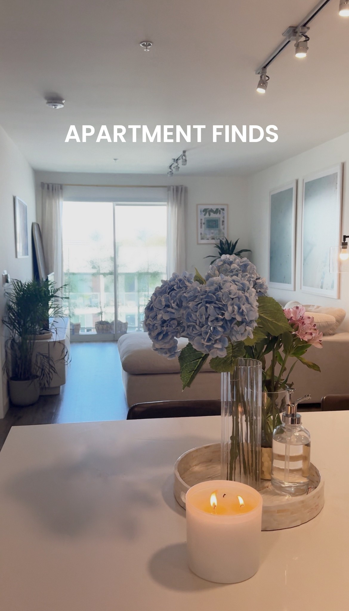 apartment home decor finds 

#LTKFindsUnder50 #LTKFindsUnder100
