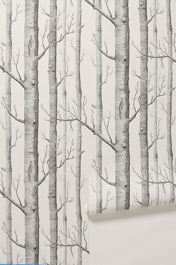 Woods Wallpaper | Anthropologie (US)