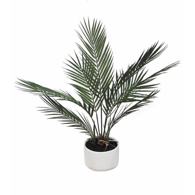 allen + roth 24-in Green Artificial Palm Plants Lowes.com | Lowe's