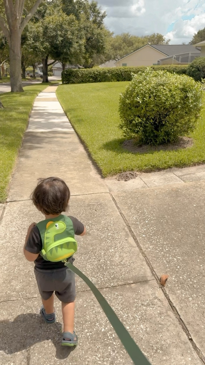 Toddler Harness Leash Backpack 🦖
for that awkward phase when toddlers hate their stroller but walk like squirrels in the road

#LTKBaby #LTKActive #LTKSaleAlert