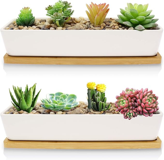 Farielyn-X 2 Pack White Succulent Planter Pots, 11.1 inch Long Rectangle Ceramic Plant Container ... | Amazon (US)