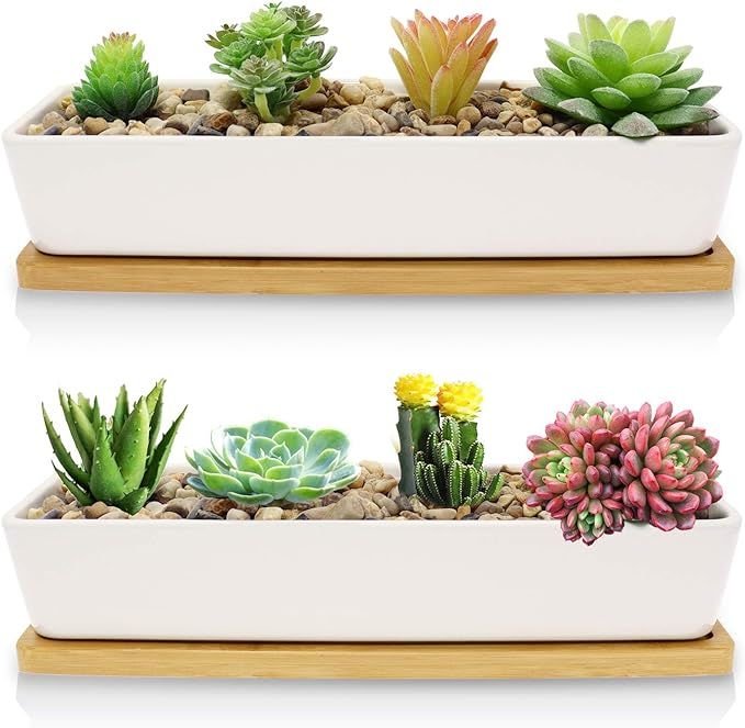 Farielyn-X 2 Pack White Succulent Planter Pots, 11.1 inch Long Rectangle Ceramic Plant Container ... | Amazon (US)