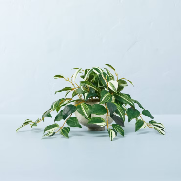 7" x 19" Faux Variegated Zebrina Plant in Ceramic Pot - Hearth & Hand™ with Mag... | Target