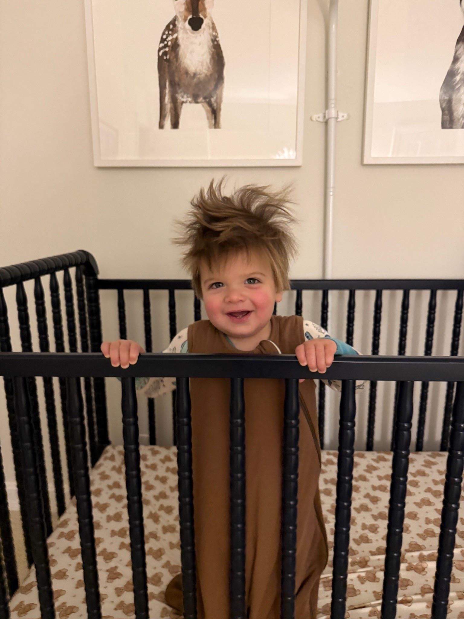 Coopy in his crib!!

teddy bear sheets, kids sheets, baby sheets, crib sheets, sleep sack, baby sleep sack, kids sleep sack, turtle pjs, zippies, boy mom, Grace White

#LTKBaby #LTKGiftGuide #LTKKids