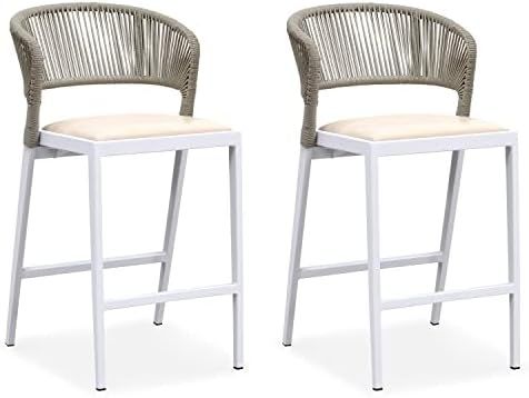 PURPLE LEAF Outdoor Bar Stool Set of 2, Modern Aluminum All-Weather Rattan Counter Height Chair w... | Amazon (US)