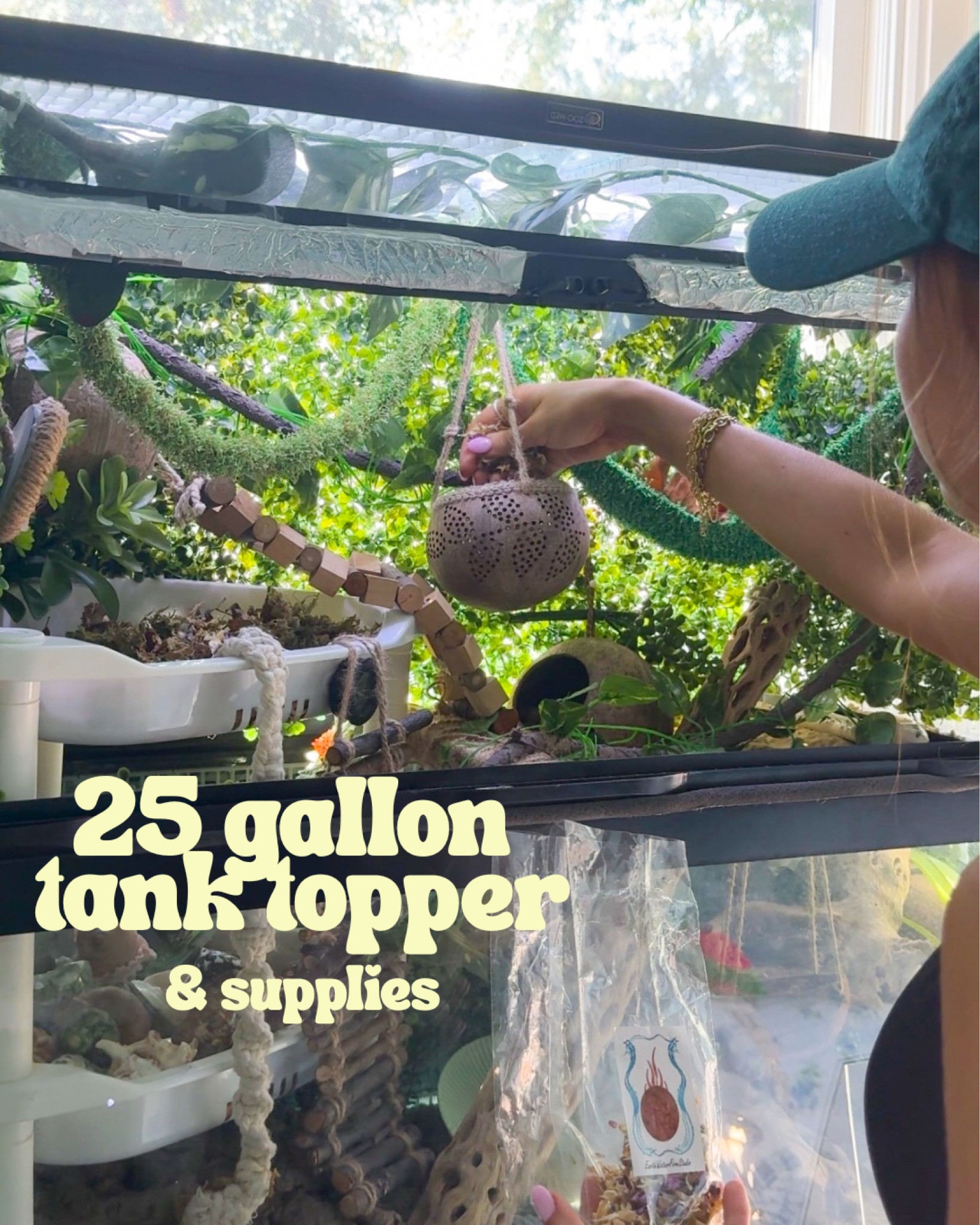 25 gallon tank topper for hermit crab set up