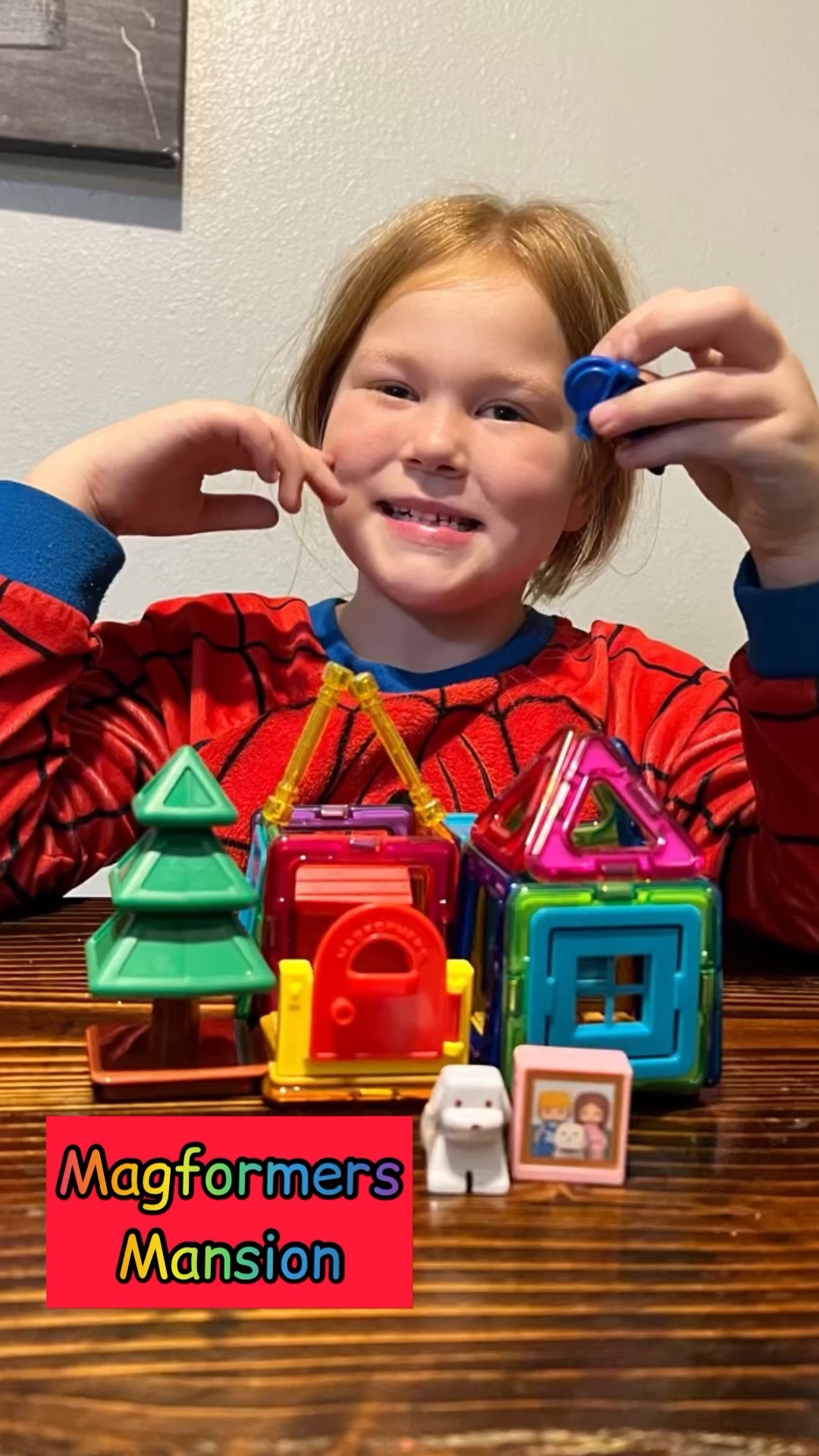 Magformers Mansion

#LTKHoliday #LTKkids #LTKSeasonal