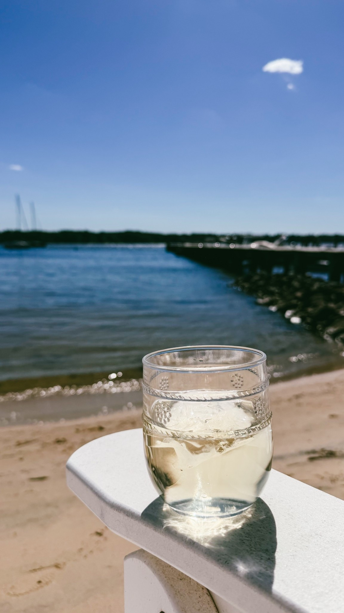My favorite chic wine glasses for the beach or pool. Dishwasher safe!
