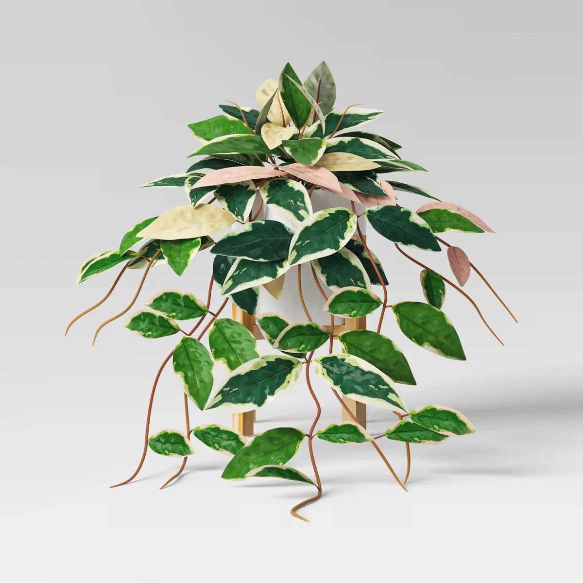 Trailing Plant in Wood Planter - Threshold™ | Target