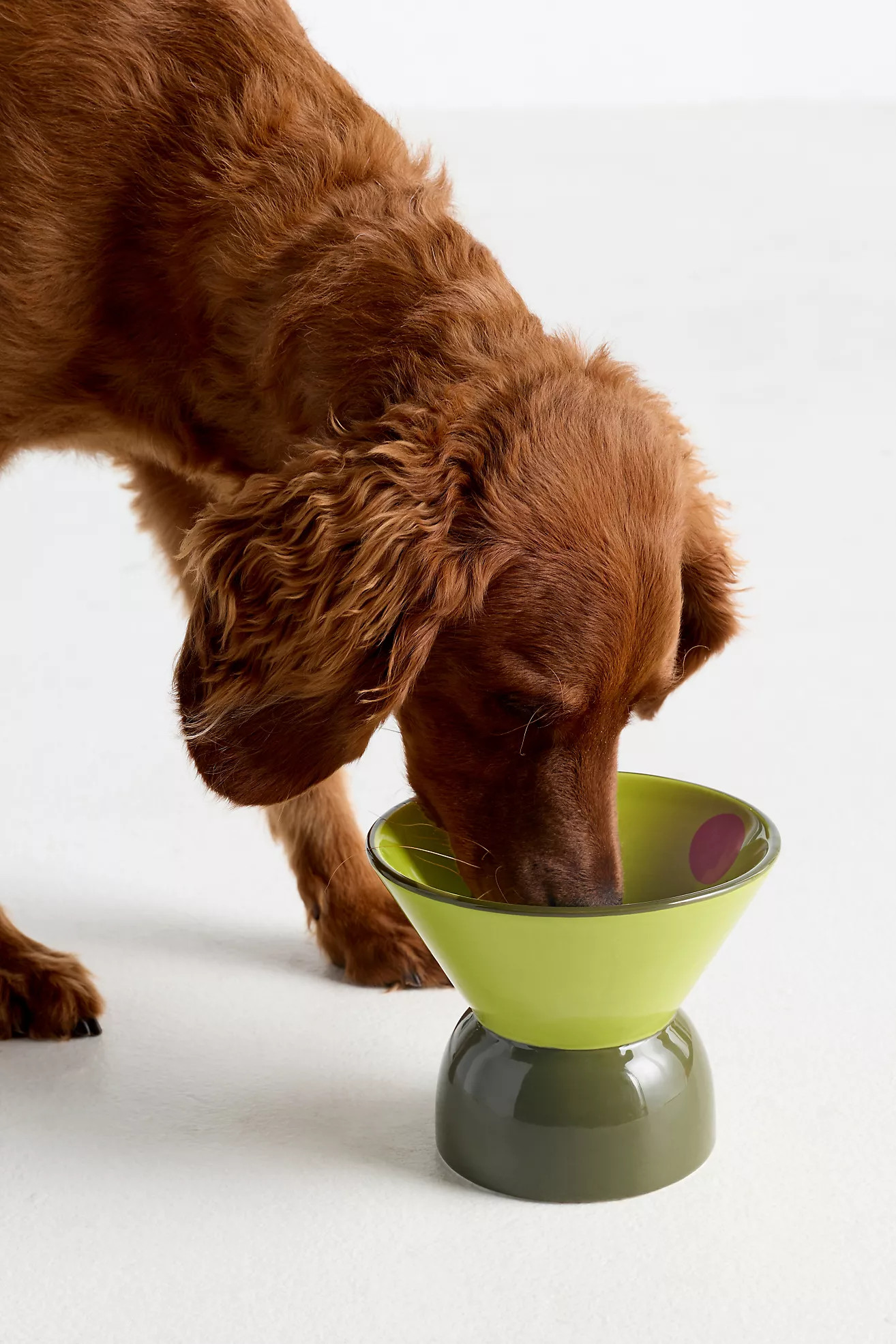 Boozy Pet Bowls | Anthropologie (US)