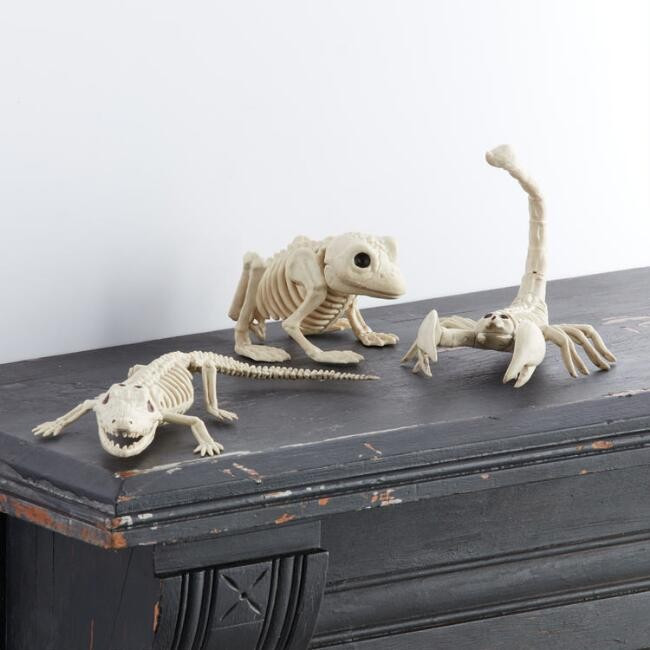 Ivory Alligator, Scorpion And Frog Skeletons Set Of 3 | World Market