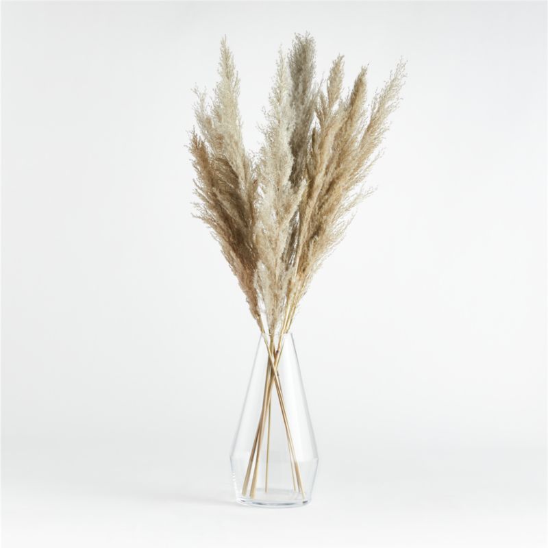 Dried Botanical Arrangement in Laurel Glass Vase | Crate & Barrel | Crate & Barrel