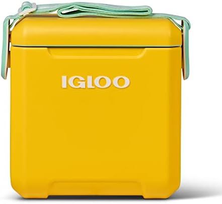 Igloo 11 Qt Tag Along Too Strapped Picnic Style Cooler | Amazon (US)