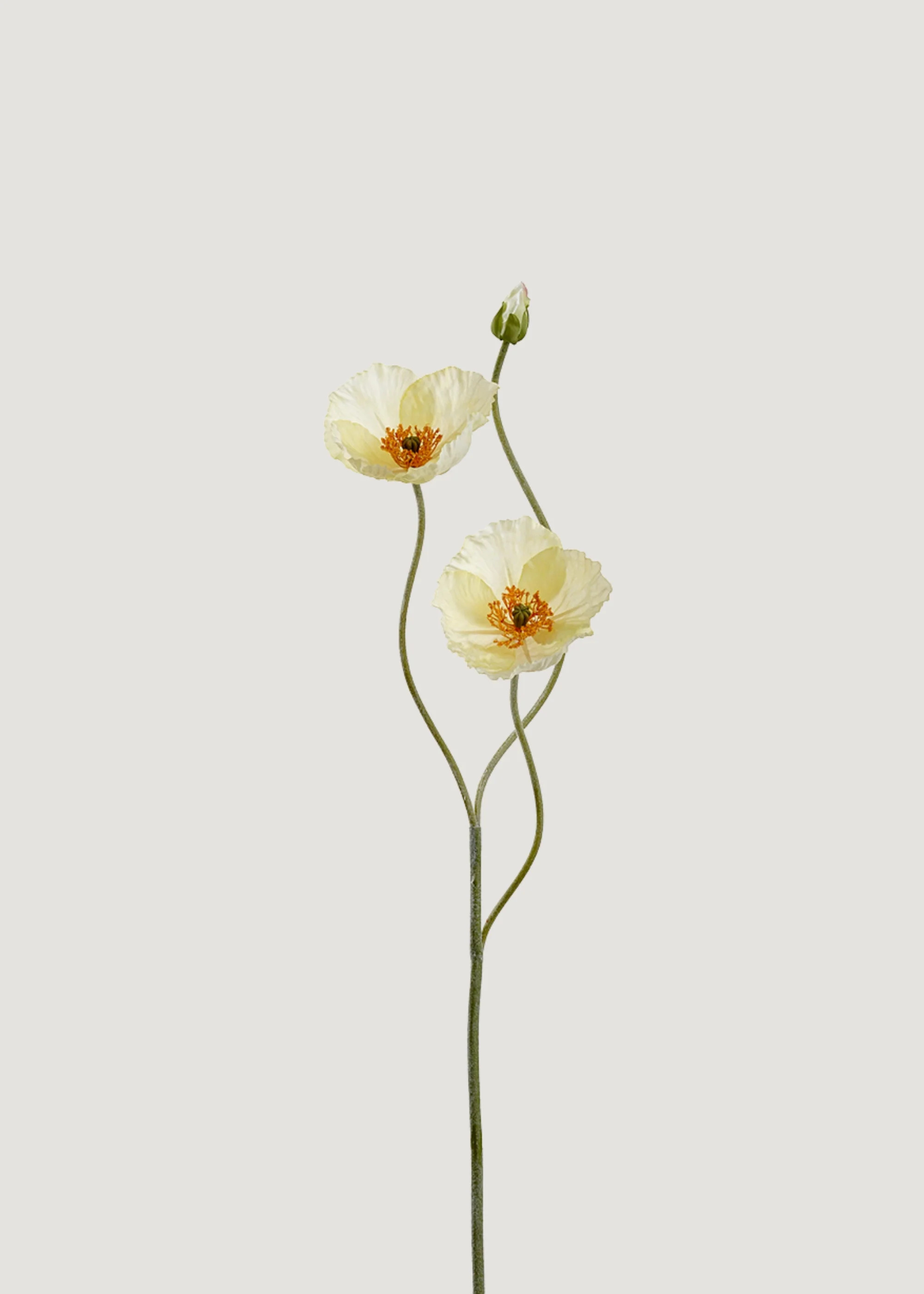 Artificial Poppy Stem in White | Realistic Faux Botanicals | Afloral | Afloral
