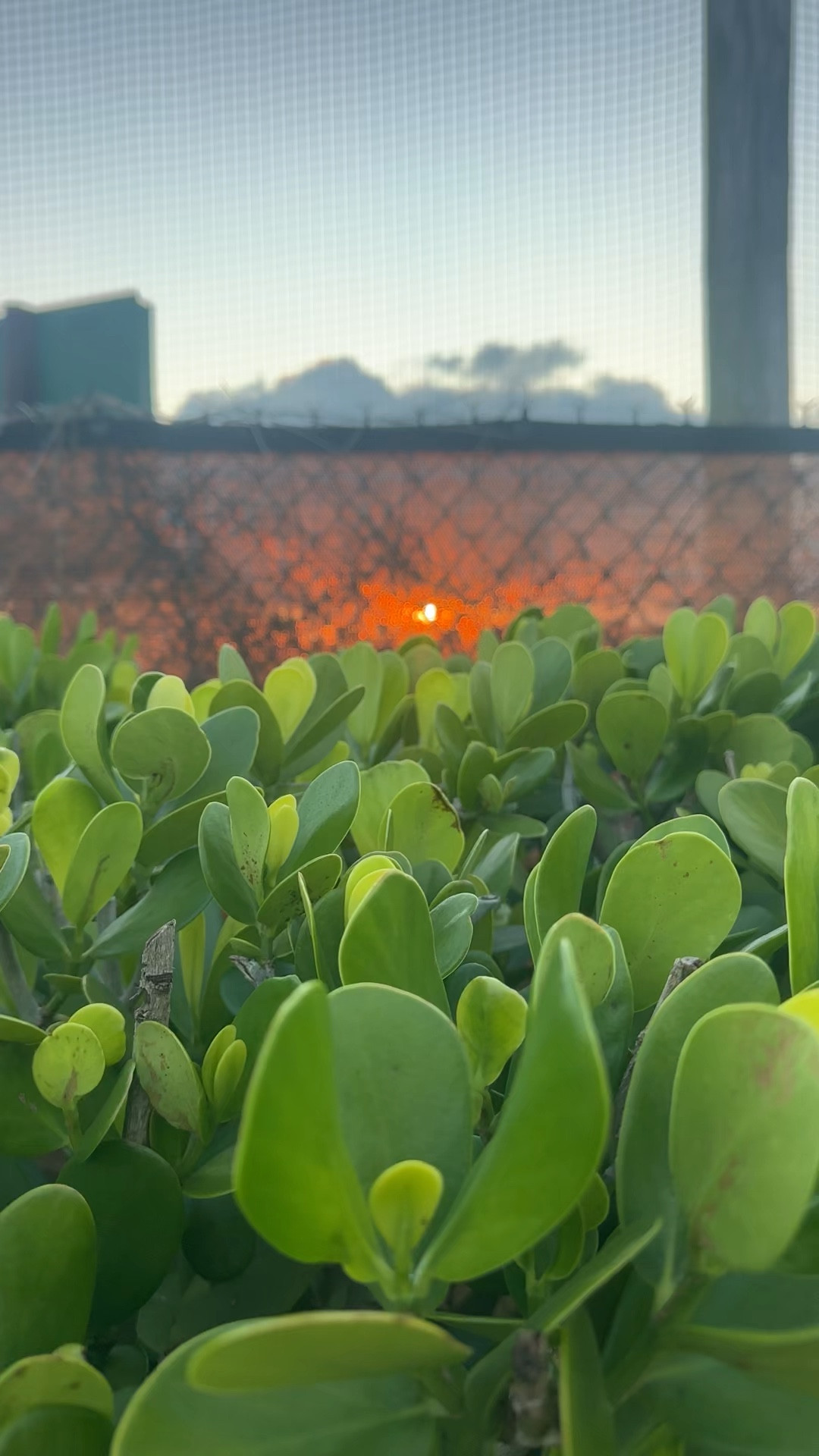 Bonjour!! Check out some of the things I use on my every day morning routine.

#LTKmorningroutine #LTKgrwm #LTKfitnessgoals