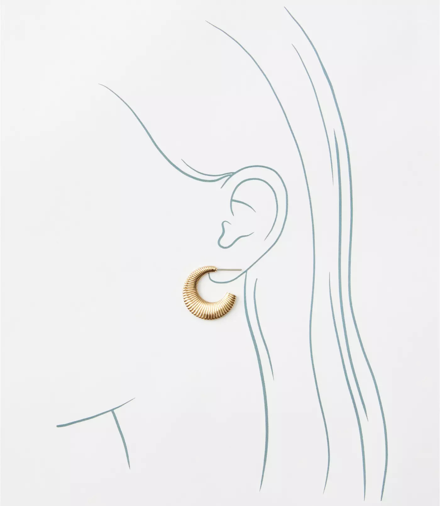 Ribbed Flat Hoop Earrings | LOFT