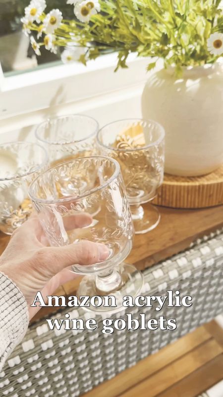 Amazon acrylic wine goblet tumblers perfect for outdoor or indoor ☀️ 🍷 #amazon #goblet #spring

#LTKhome #LTKparties #LTKVideo