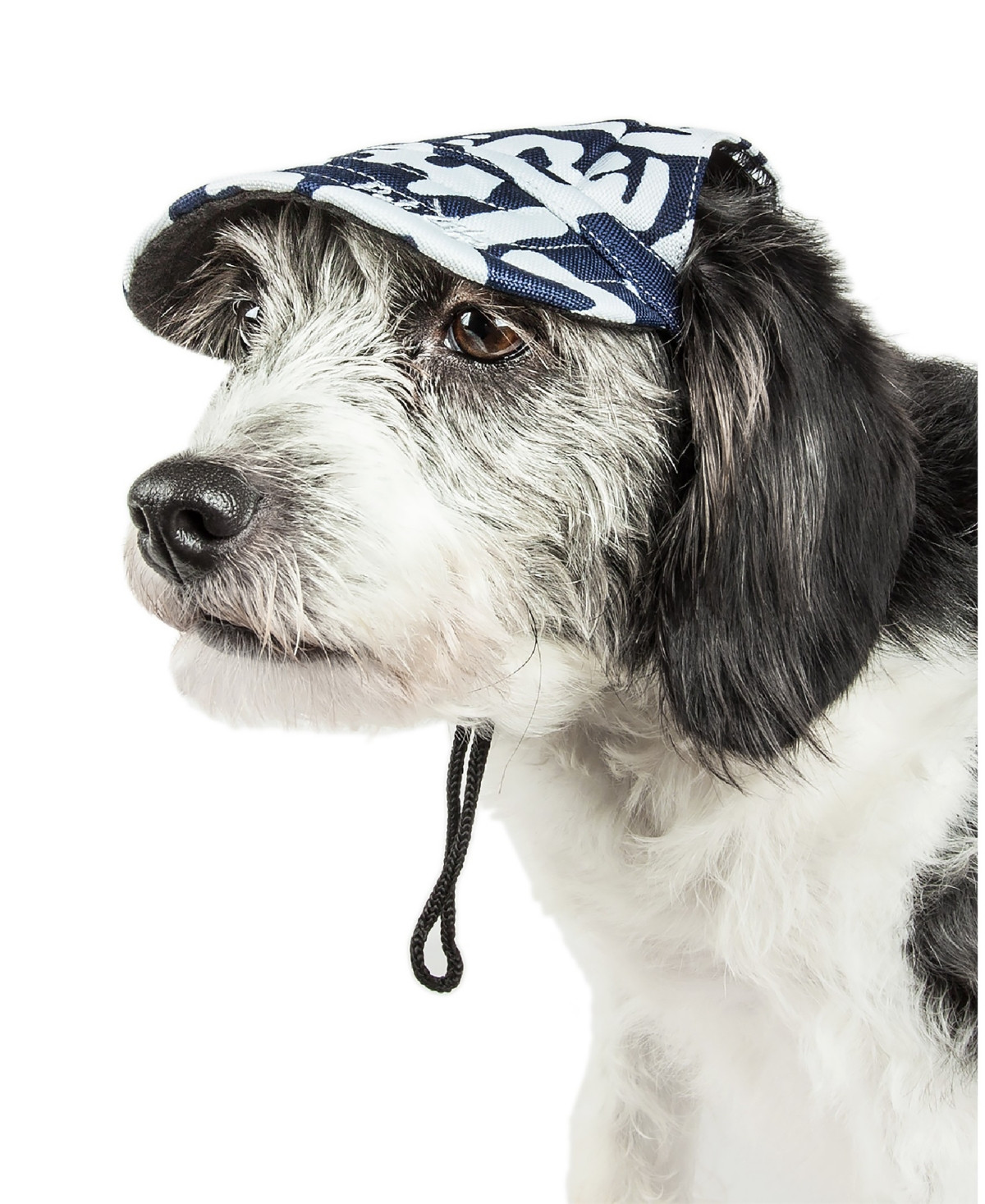 Pet Life 'Bone Cappa' Graffiti Sculptured Uv Protectant Adjustable Dog Hat Cap | Macys (US)