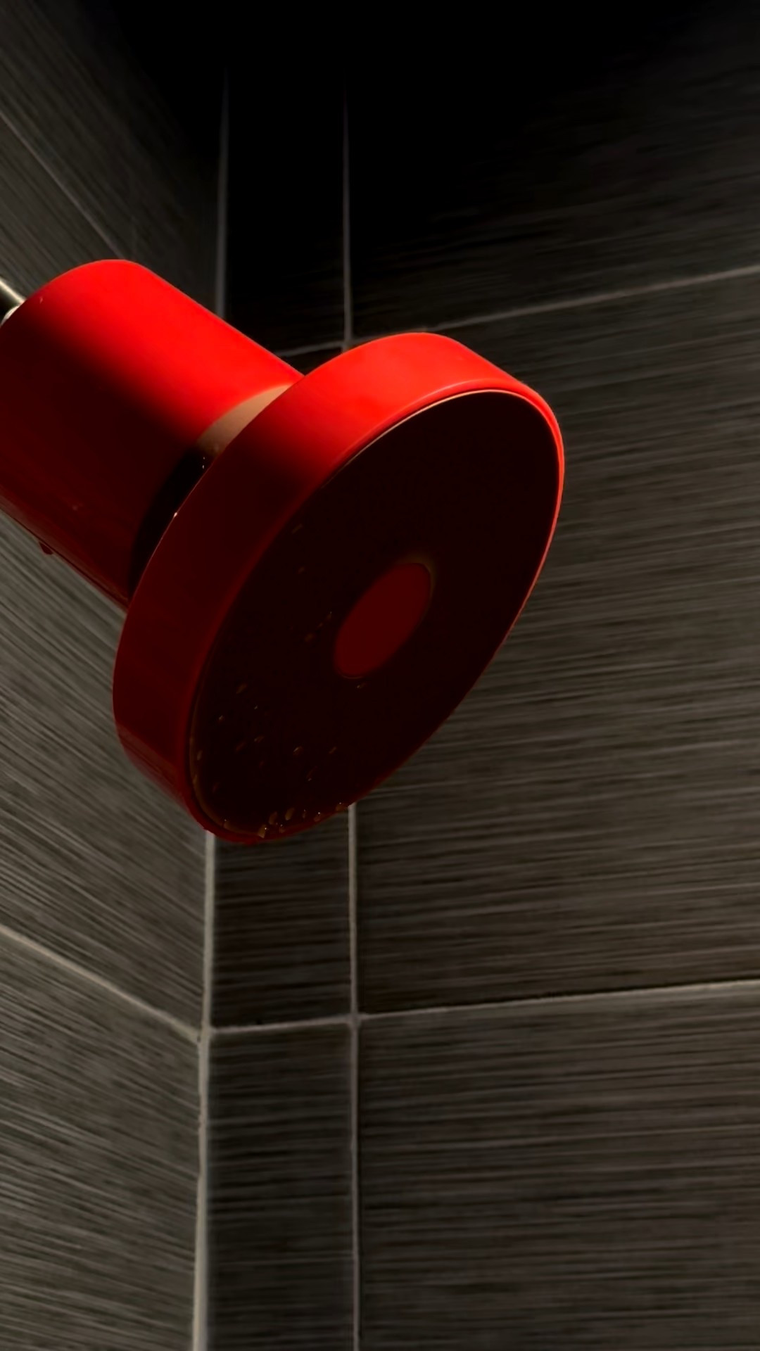 This Jolie water filter has changed the game for my skin and hair!!

#LTKselfcare #LTKGiftGuide #LTKgrwm