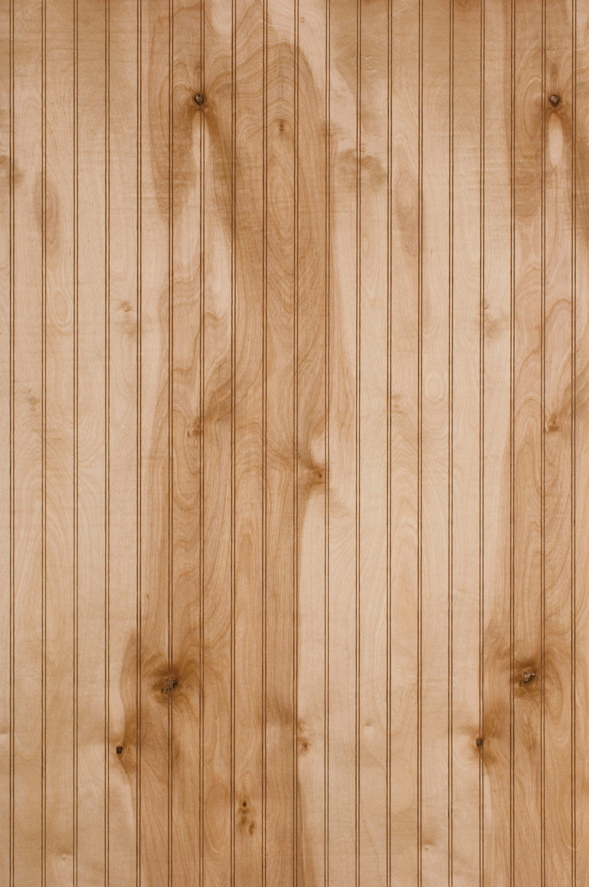 Style Selections 5/32-in x 48-in x 96-in Beaded Birch Wood Wood Wall Panel in Brown | 344281 | Lowe's