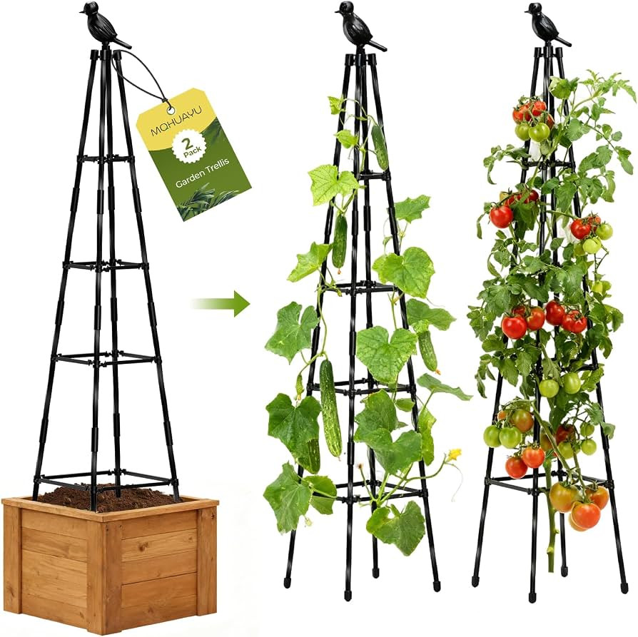 2 Pack Garden Trellis for Climbing Plants Outdoors,65Inch Cucumber Trellis Garden Obelisk Trellis... | Amazon (US)