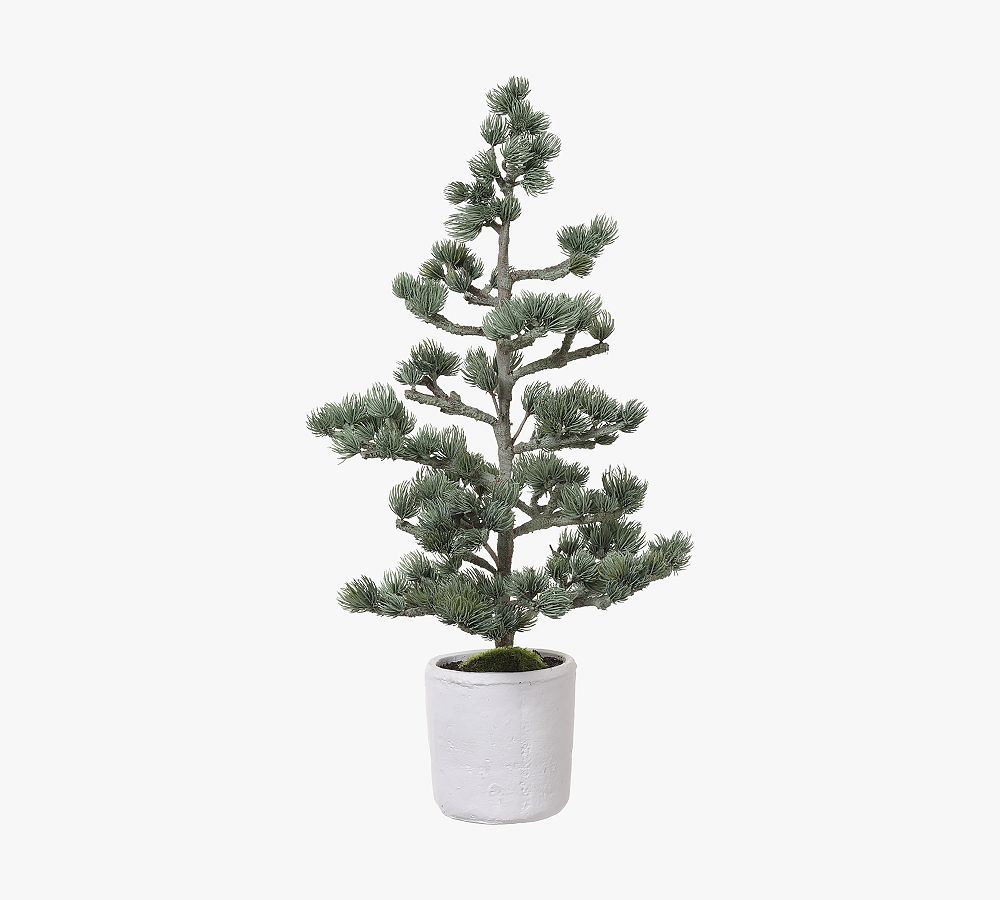 Faux Bonsai Spruce Potted Tree | Pottery Barn (US)