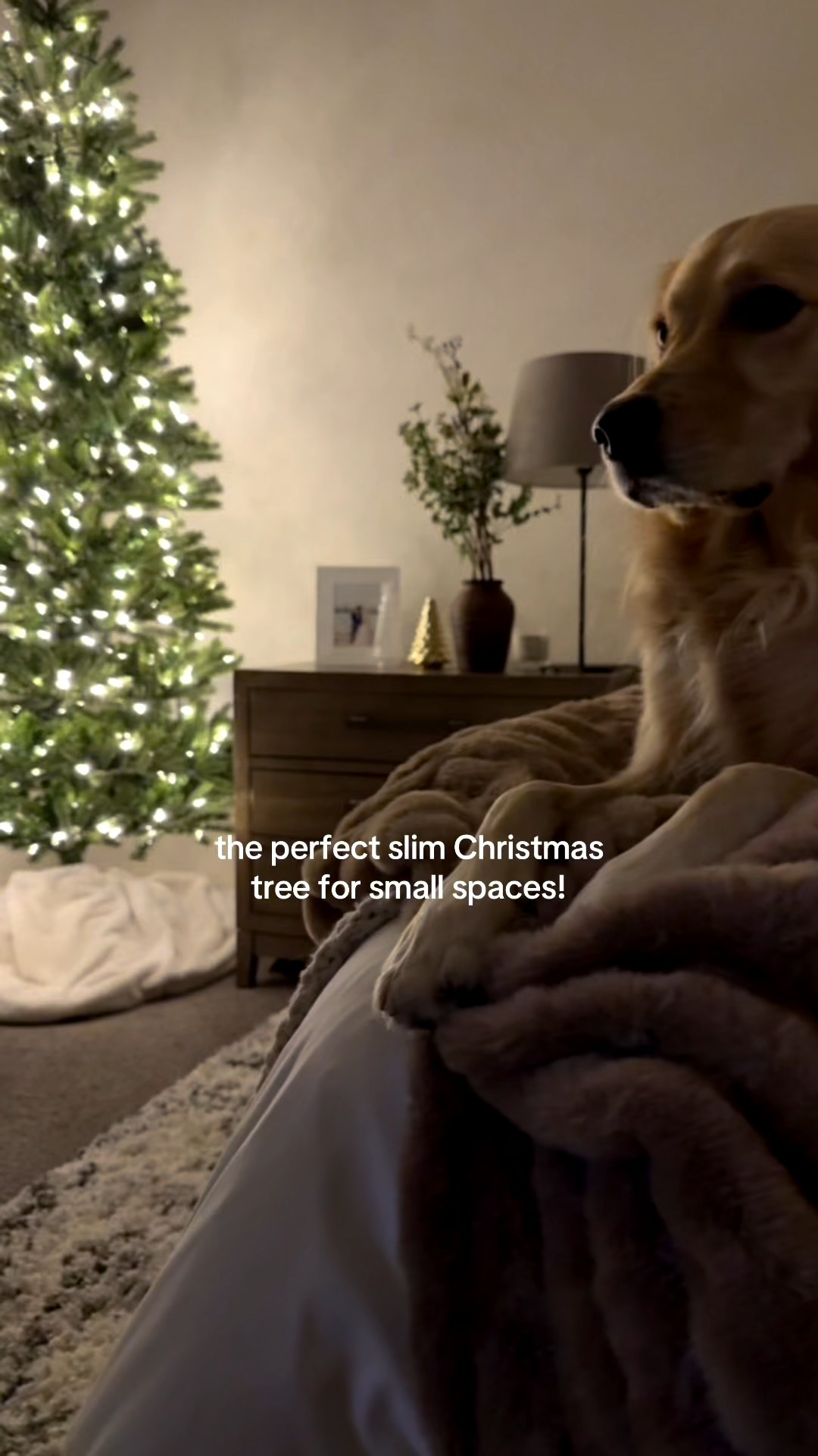 The perfect slim Christmas tree for small spaces! 🎄✨

Our Christmas tree is the 7.5” unlit frasier fir slim King of Christmas tree! It’s beautiful! I put two sets of lights on it.

Other items in our bedroom:
•Minky Couture Hugs blanket monster size in milk chocolate - use code CASSIEM for a discount!
•Beige chunky knit blanket is from Target - we have the king size
•Boll and Branch duvet set - use code CASSIEM for a discount!

I’ll link our other bedroom furniture, pillows, lamps and more below!

Christmas decor, Christmas tree decor, classic Christmas tree, skinny Christmas tree, king of Christmas tree , white bedding, neutral bedroom, white bedroom, luxury bedroom, cozy bedroom

#LTKSeasonal #LTKGiftGuide #LTKHoliday