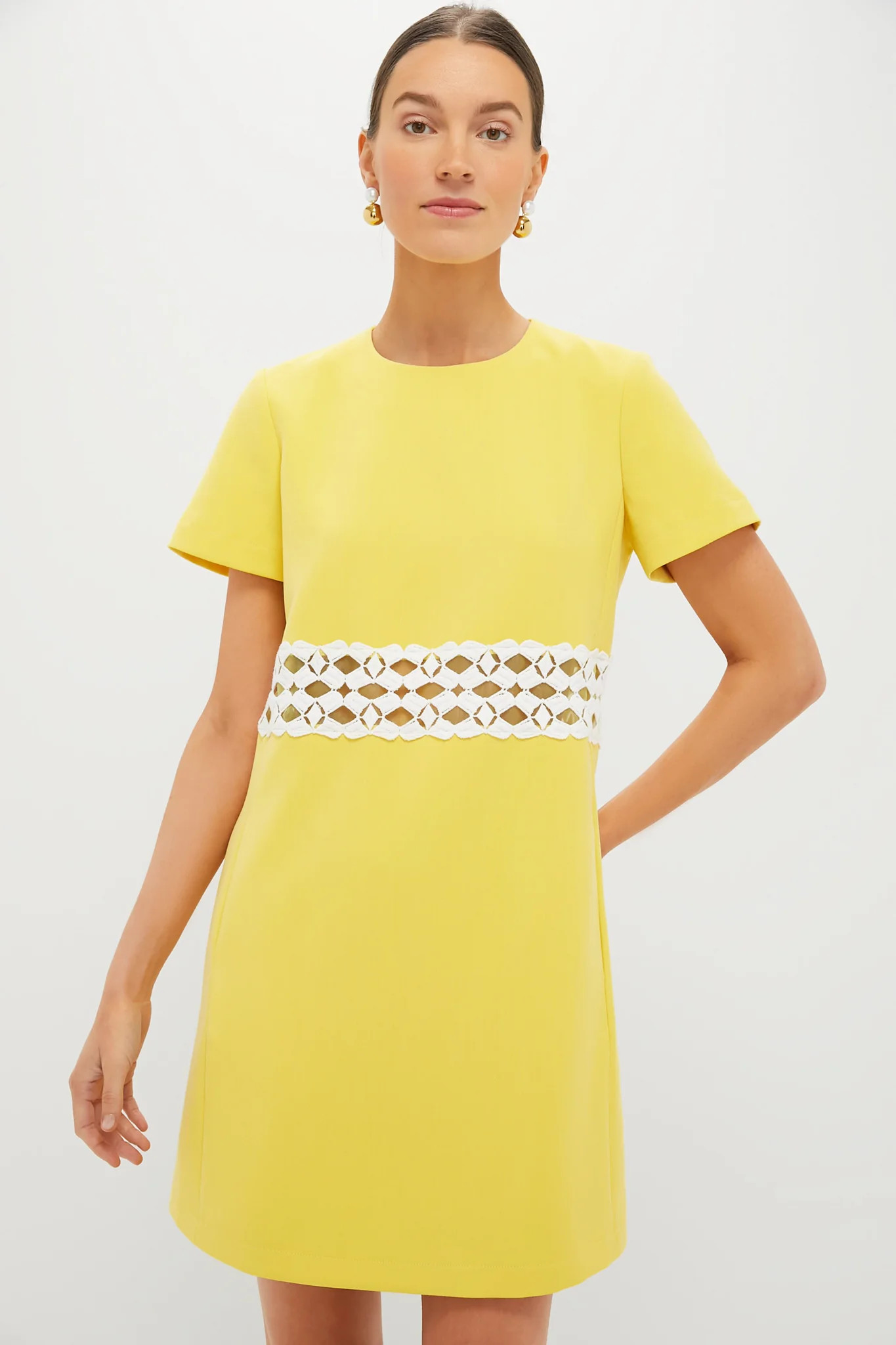 Canary Mod Camelot Dress | Tuckernuck (US)
