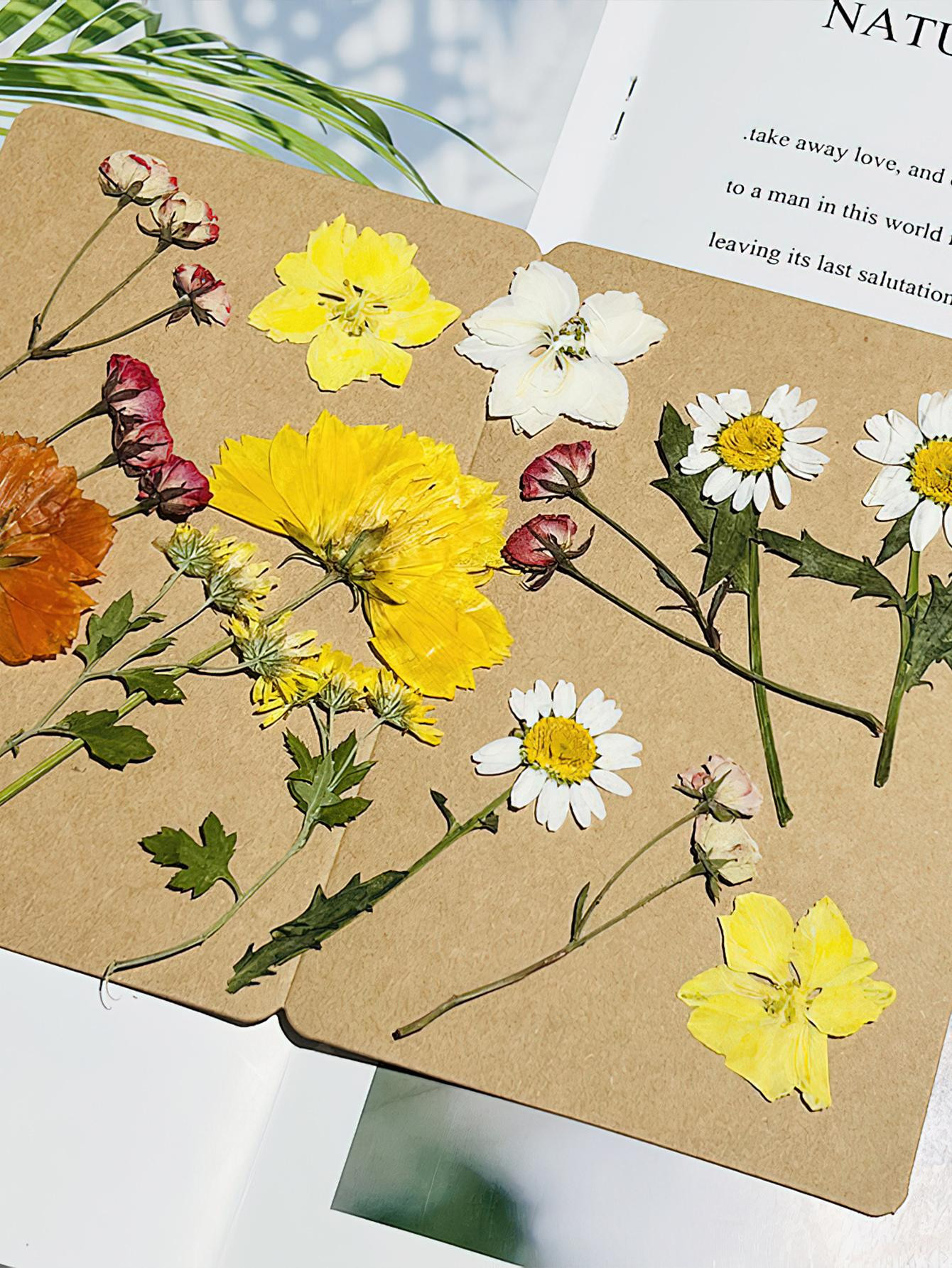 1pack Straw Real Dried Press Flower | SHEIN