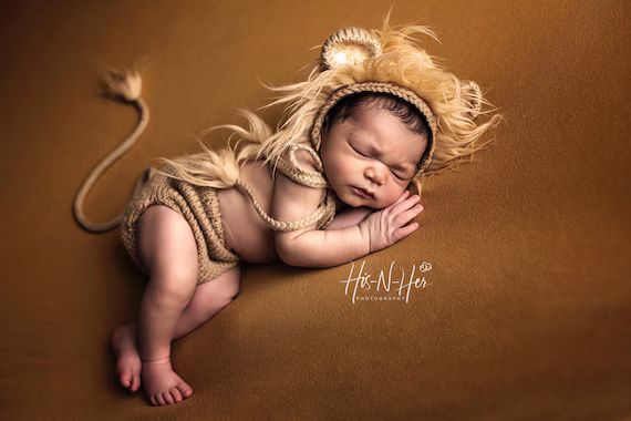 Newborn Knit Lion Costume: Baby Lion Hat With Ears Knitted - Etsy | Etsy (US)